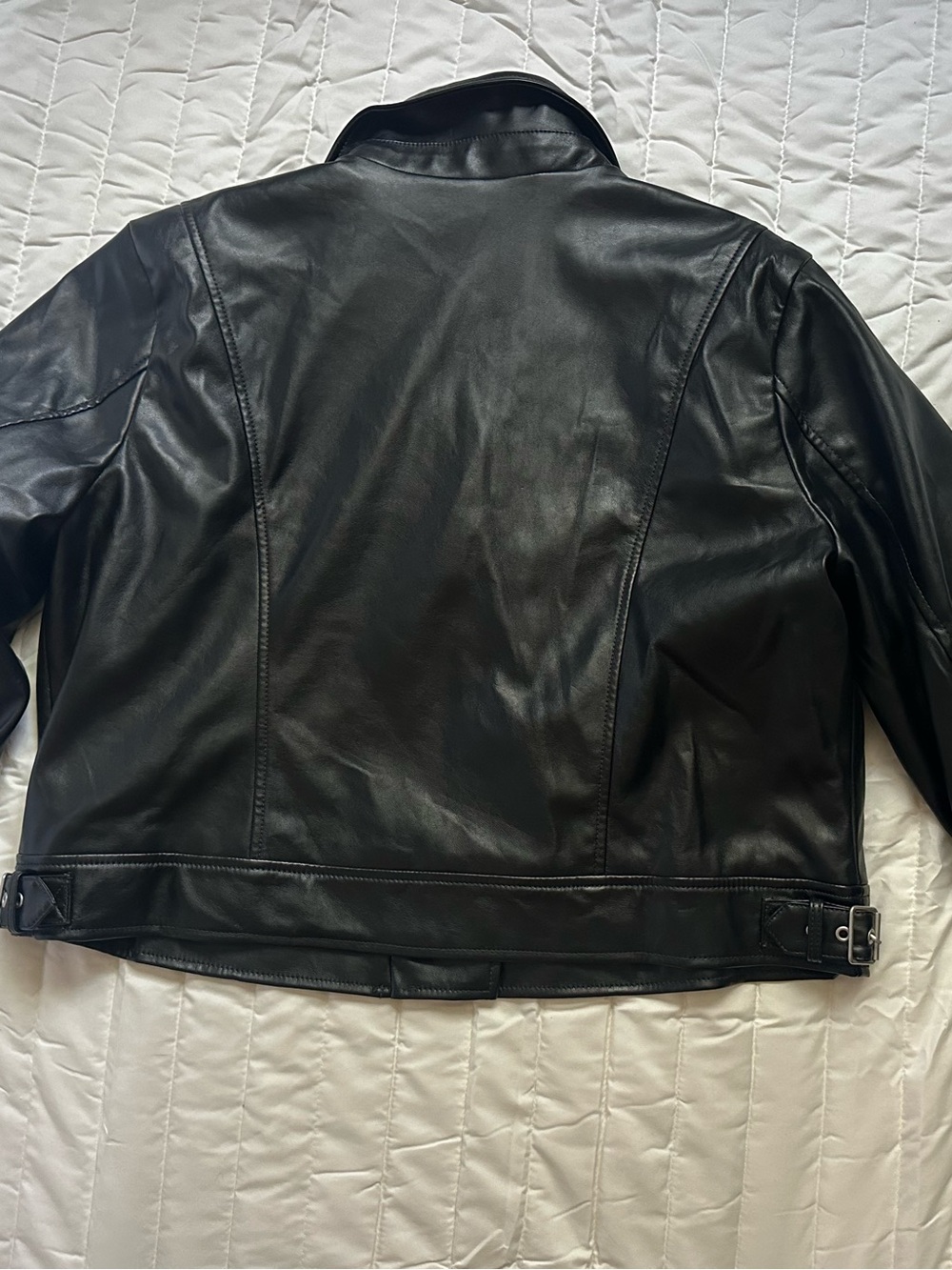 Moto Jacket - Picture 3 of 5